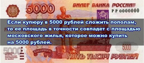 https://pbs.twimg.com/media/Bilk1vZCcAEePD1.jpg
