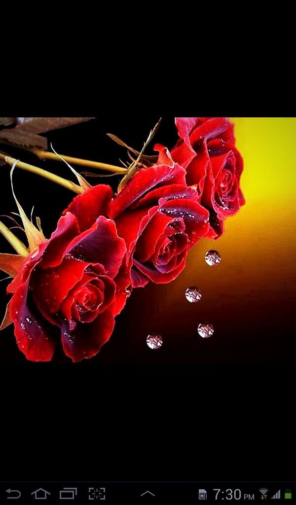 dexlx's tweet photo. @Alzain12345 @nmh61 @alhoot88 
صباح الورد .. http://t.co/gdtDlB9Z9w