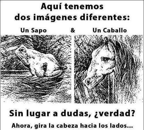 Dos imágenes diferentes..
