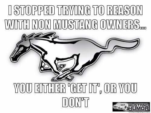 BlueOvalProbz's tweet image. It's a #LosingBattle. If a person fails to understand it now, they never will. #MustangProbz #ArguingWithIdiots101