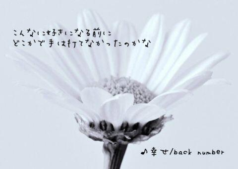 歌詞 backnumber 幸せ