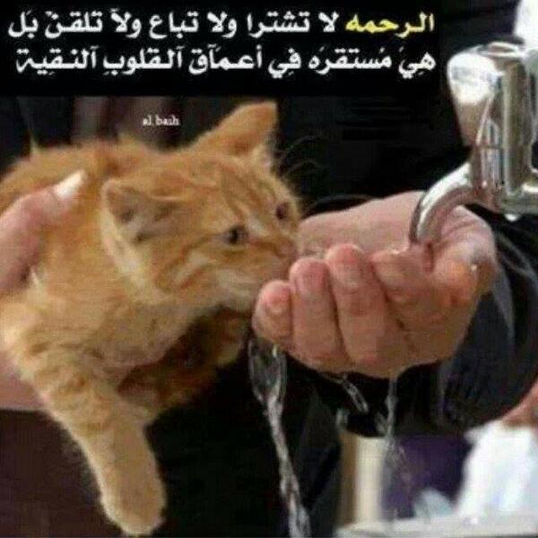Qq11Qwe's tweet photo. الرحمة... http://t.co/ruJFOuKYr1
