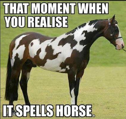 SlotsUK's tweet photo. Clever by Design 

#Horse #CheltenhamFestival

http://t.co/mawq1ueCOO http://t.co/rzuiq9Vhcl
