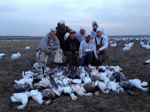 TNP_Productions's tweet photo. Chasing the Snows!  Great hunt with the Snow Fox on Tuesday!  #SavetheTundra #Snowgoose http://t.co/KfKVWuX7TO