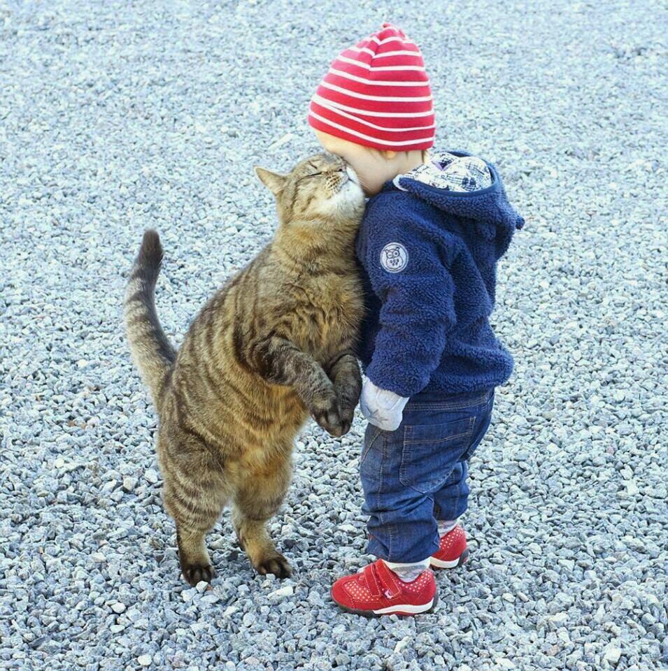 Uzivatel 魔人mie Sanda Na Twitteru 頬すりすり 猫ちゃんの顔が幸せそう Rt Anyankun うにゃーん F I R E F O X Http T Co Pq5qqxrnmx Uzivatel 魔人mie Sanda Na Twitteru 頬すりすり 猫ちゃんの顔が幸せそう Rt Anyankun うにゃーん F I R E F O X Http T Co Pq5qqxrnmx