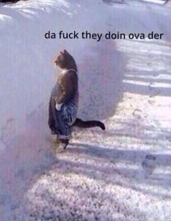 TofanPls's tweet photo. Wen u look outside teh window and u see ur niggas outside http://t.co/FBsUZf9L0j
