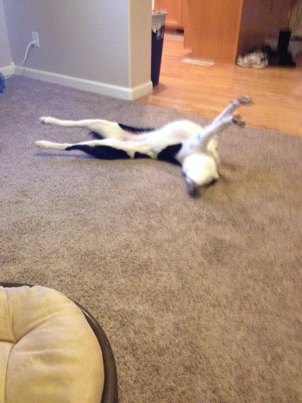 NikKnaking's tweet image. The   control of Facebook has taken over my life, will try harder to twit but for now enjoy Abbs