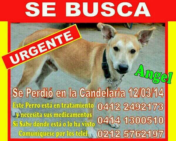KikiriWau's tweet photo. ayudalo a regresar RT por favor #ccs http://t.co/BV4ys1HIrO @Tango_BME