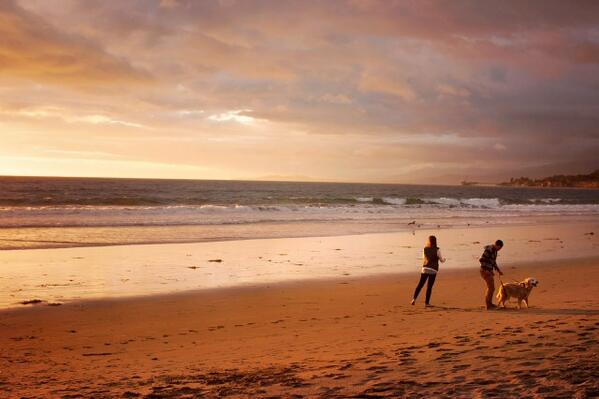 TimLongIns's tweet image. We're dreaming of warmer weather here at the office. What about you—are you ready for summer?