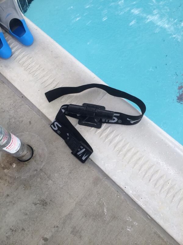 SueMangan's tweet image. Today one of us discovered she has hips! #longaxis @MastersSwimming @ColumbiaMasters