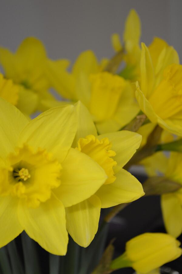 KyteCreative's tweet image. 