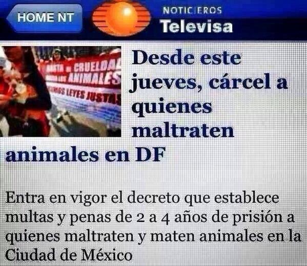 Por fin! Carcel a los que maltraten animales  <a href="/APASDEM/">APASDEM, A.C.</a> @SoloEnDF <a href="/AA_DF/">Ayuda a Alguien</a> <a href="/En_laDelValle/">En la Del Valle</a>