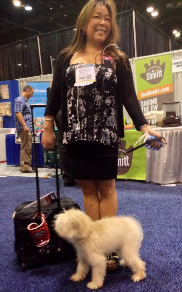 Twinkie loves her new Leash, and so does her Mom! <a href="/Brollytime/">Brollytime</a> <a href="/PetStyle/">PetStyle.com</a> <a href="/target/">Target</a> <a href="/PetSmart/">PetSmart</a> <a href="/Petco/">Petco</a> <a href="/discovery/">Discovery</a> channel