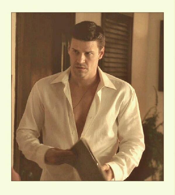 davidboreanazagenteseeleybooth