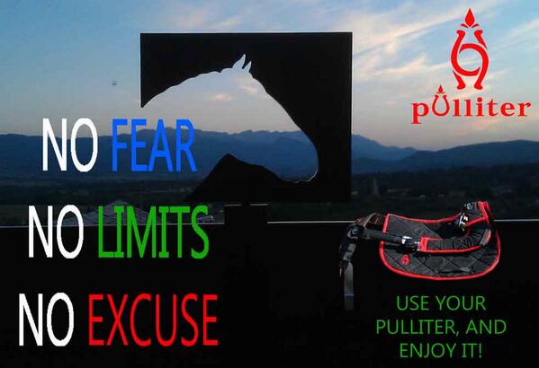 Pulliter's tweet image. NO FEAR, NO LIMITS, NO EXCUSE
    USE YOUR PULLITER AND ENJOY IT!