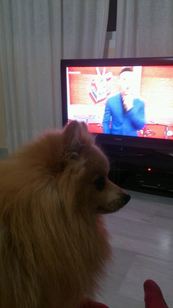 helida_matos's tweet photo. Mi Pipo emocionado con #BatallasKids2 http://t.co/a9w4Cyk2ur