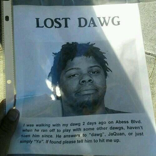 KendrikLama's tweet photo. pls RT to help find lost dawg http://t.co/ACw7dhgOIl