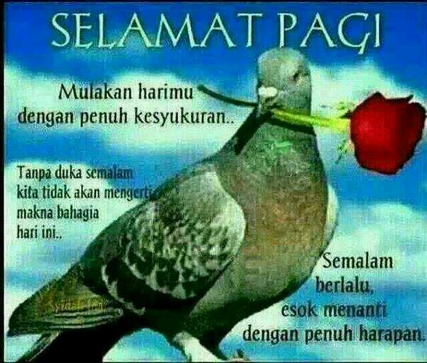 amanda_aja2's tweet photo. http://t.co/pTY7eBjbns