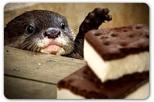Softwick's tweet photo. It's getting warmer, you know what that means! Time to get naughty! ICE CREAM NAUGHTY. LOL (lots of love), Chad. http://t.co/y6kzgvkxrb