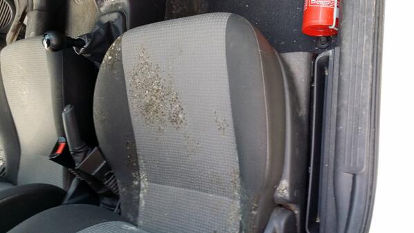 ProCarService's tweet image. dieptereiniging uitgevoerd ( schimmelbehandeling) 
wagen is 5jaar oud en staat 3 maand stil  

Voor behandeling