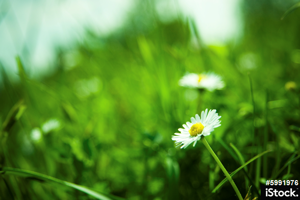 iStock's tweet photo. RT if you're daydreaming about picnics right now. http://t.co/KwCheK3gK9 #istockspring http://t.co/GRnmnpy2am