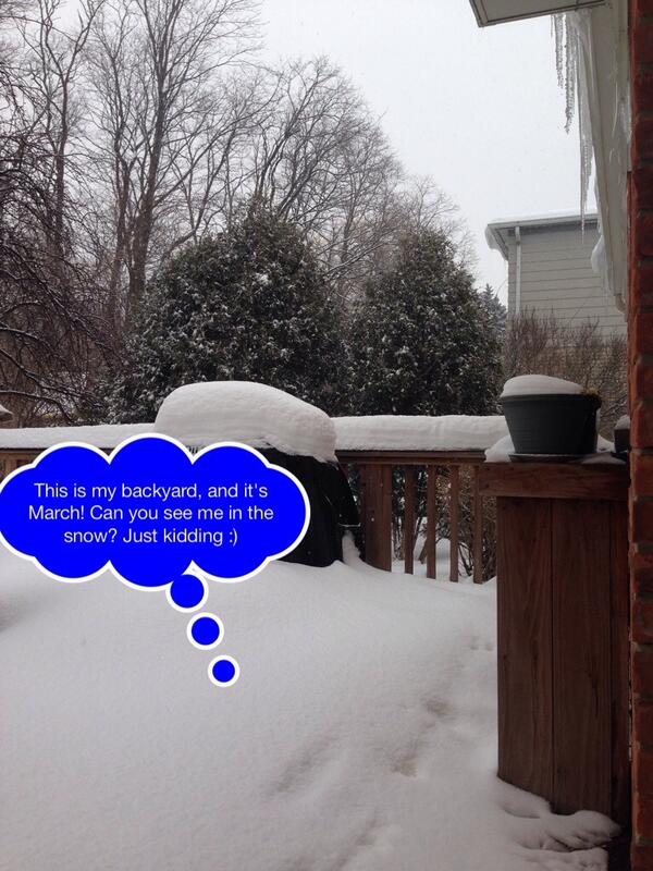 Hi this is Abby. It's March and I'm snowed in! Is this normal? Things hopping at the Expo in Orlando. <a href="/Brollytime/">Brollytime</a>