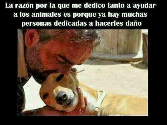 mafaldagpagan's tweet photo. "@Lolaja3: @iescri un placer!! http://t.co/YsQlqbF7Xo" @espeloab Cómo tu, preciosa. http://t.co/di3kMcaARs