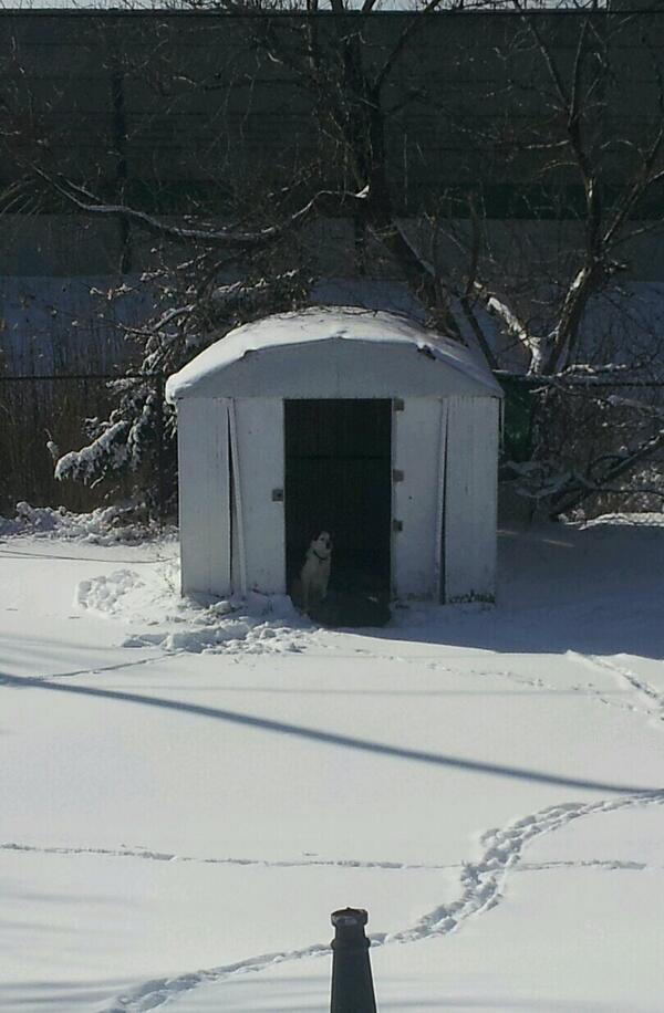 andrew_c992's tweet photo. @Filipiak23 @GarryDillabough @twils09  the warzone has a new resident http://t.co/0idw88WYzk