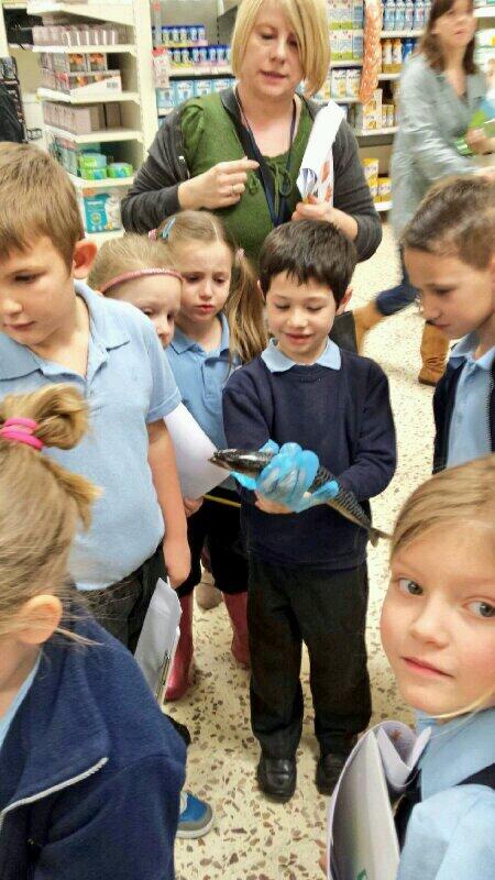 jayne_prior's tweet photo. Farm to Fork fun at Stevenage starts with the fish counter! Wonderful reaction to a bit of mackerel handling http://t.co/DDBzsZ98FS