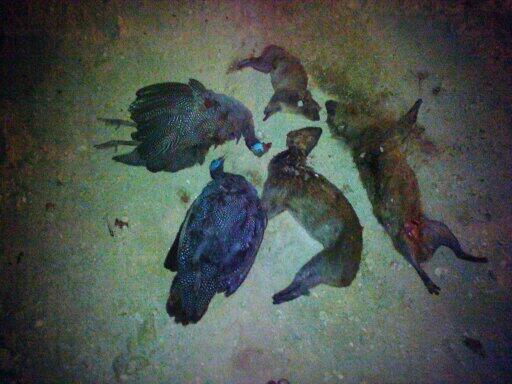 AlotebeFahd's tweet photo. http://t.co/ogpMHiUG0C