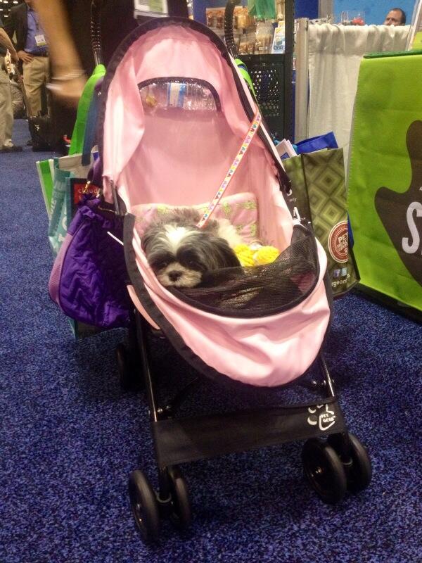 My new friend Jez had a long day today! #puppy in a stroller <a href="/ReviewsbyJme/">Reviewsbyjamie</a> <a href="/Brollytime/">Brollytime</a> #pet leash #dogs