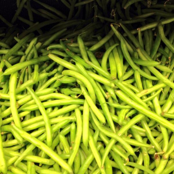 DustinStarr's tweet image. We are making French fries tonight! #RoadtoJrUSA #11weeksout