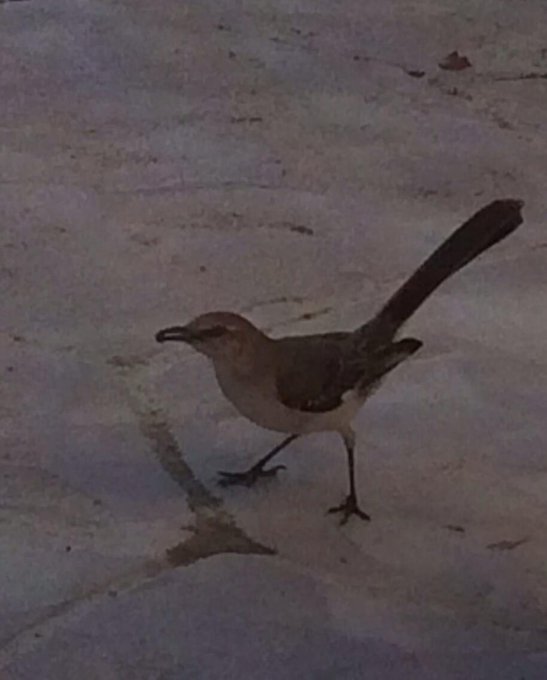 My little friend. Lol http://t.co/xKEJt9ddXq