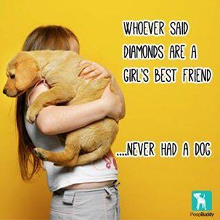 GetPoopBuddy's tweet photo. My dog. My fur child. My #bestfriend. Check out more dog inspired quotes on our Pinterest boa… http://t.co/oqutA17HRx http://t.co/kw6Ig398fV