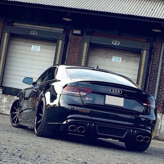 Audi_Fanatics's tweet photo. Dirty #audi #s5 http://t.co/ElrNx0Lk1J