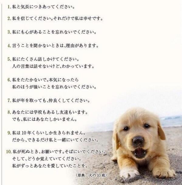思わず涙があふれる感動話 Auf Twitter 犬の気持ちを考える T Co Iuenyibglw 思わず涙があふれる感動話 Auf Twitter 犬の気持ちを考える T Co Iuenyibglw