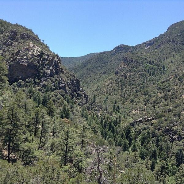 FuelBandSE's tweet image. Day 13: Mountains. In the Huachuca Mts. #view #arizona #huachuca #mountains #nike #nikeplus #march #photochalleng...