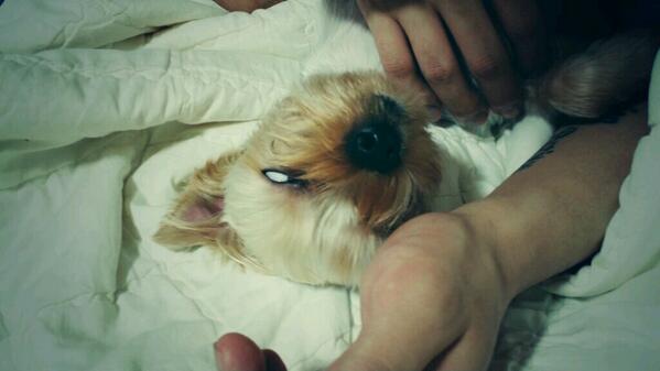 Yun_aaaaaa's tweet photo. 차가운남자 http://t.co/1CHYyFrscq