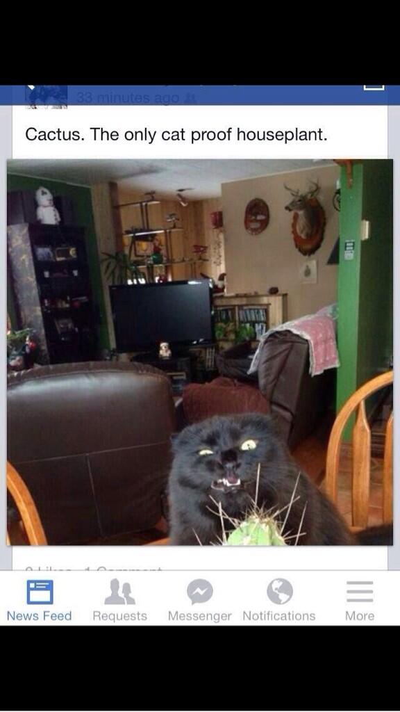 ashleyann2144's tweet photo. Hahahaha http://t.co/TXvHJgiEV4