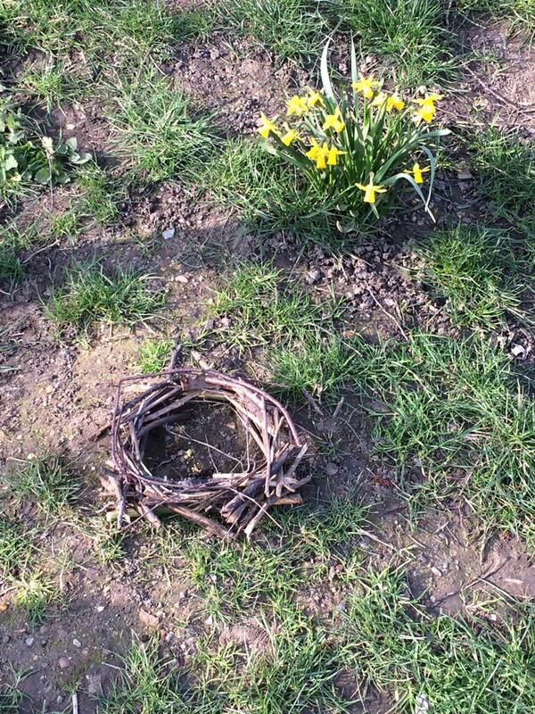 deplayskool's tweet image. Hoy he CONSTRUIDO un nido!...venid pajaritos!!  #gettingmad #mylifeasanarchitect