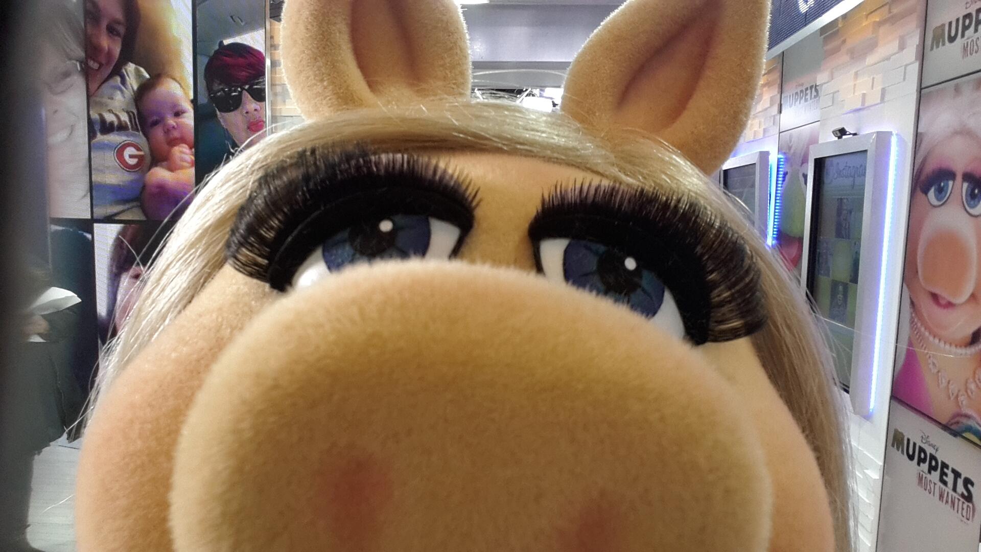 Happy National Selfie Day from Miss Piggy!, Smile! It's  #NationalSelfieDay! Miss Piggy has the perfect poses and the flashiest tips  to help you take the perfect selfie., By The Muppets