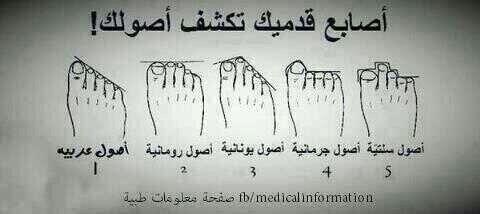 AlsaudMamdouh's tweet photo. شوف أصلك من فين هههههه http://t.co/6hduGTBsp7