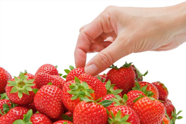 smedingagf's tweet photo. Primeur: dit weekend gaan we helemaal over op Hollandse kasaardbeien! Uniek zo vroeg in het seizoen. http://t.co/EUb1j1nUFp