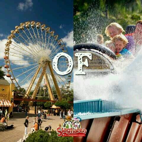 Waar zou jij eerder in gaan !?