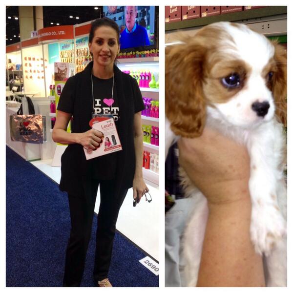 Janice can't wait to take Tabasco for a walk with her new BrollyLeash. I heard Tabasco was hot😍 <a href="/petheadstyle/">Pet Head</a> #leash