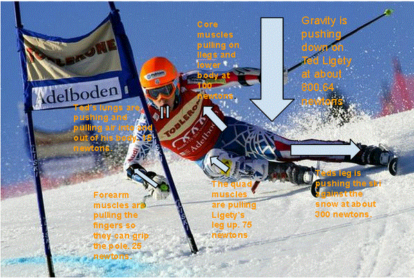 aSkiracer15's tweet photo. Here's a free body diagram of Ted Ligety skiing. #FBD209 http://t.co/8DtV6gSEeP http://t.co/wsc1bBPkgV
