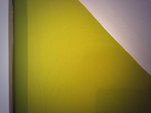 Queen bee tried come in through the window 3 times today! Spring is here!