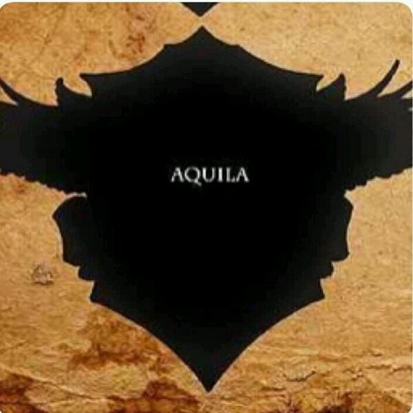 Jeni_Jenoy's tweet photo. Are you an Aquila ?? #HousesofBM http://t.co/yld9iScYix