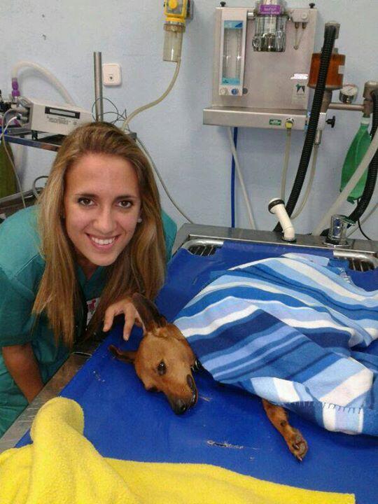 Sandra_Vet's tweet photo. Todo por ellos... http://t.co/0F7UqKVrIx