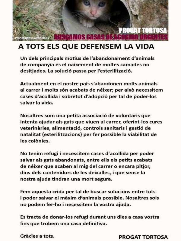 PROGATortosa's tweet photo. FEM UNA CRIDA DESDE PROGAT TORTOSA @Tortosa @radiotortosa @laplanaradio @rdelta @marfanta @canalte @terresebretur http://t.co/Lq0vTmt5yH